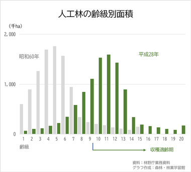 人工林の齢級別面積