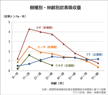 樹種別・林齢別炭素吸収量